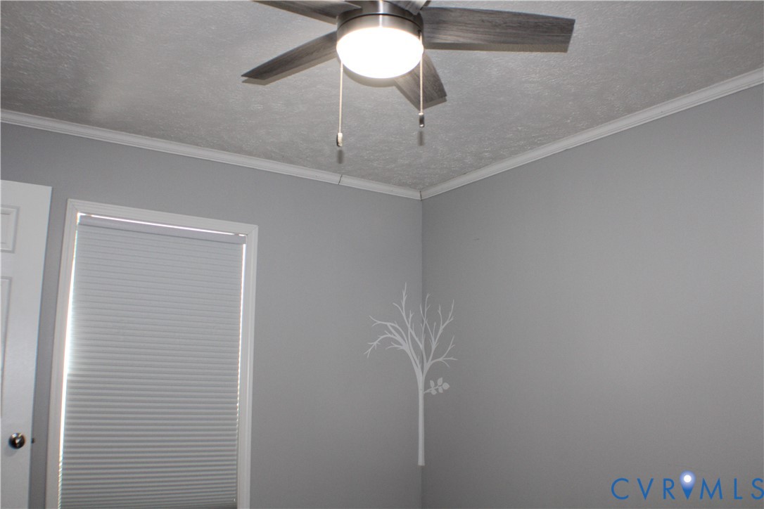 1811 Halls Store Road Mineral, VA 23117 - Photo 18 of 39 Detailed view of a textured ceiling and ornamental