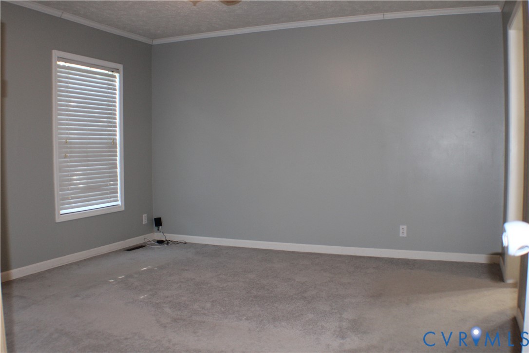 1811 Halls Store Road Mineral, VA 23117 - Photo 24 of 39 Carpeted spare room with crown molding and a textu