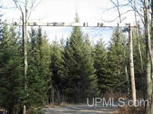 1959 Iron Lake Road Iron River, MI 49935 - Photo 24 of 24