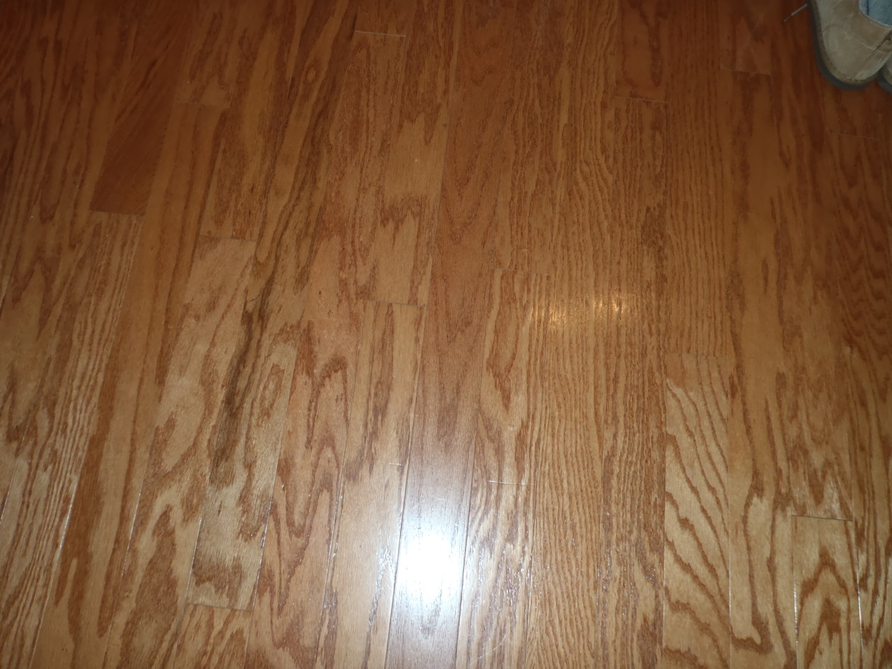 3480 Sterling Road Roanoke, VA 24014 - Photo 36 of 72 P2096377