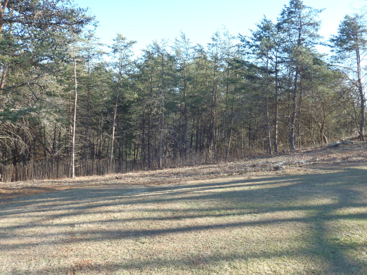 3480 Sterling Road Roanoke, VA 24014 - Photo 48 of 72 P2096392