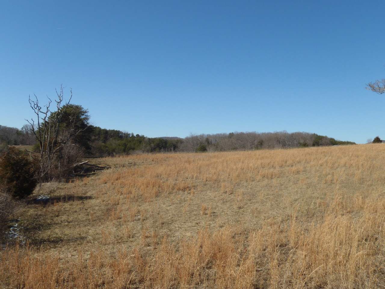3480 Sterling Road Roanoke, VA 24014 - Photo 6 of 72 P2096341