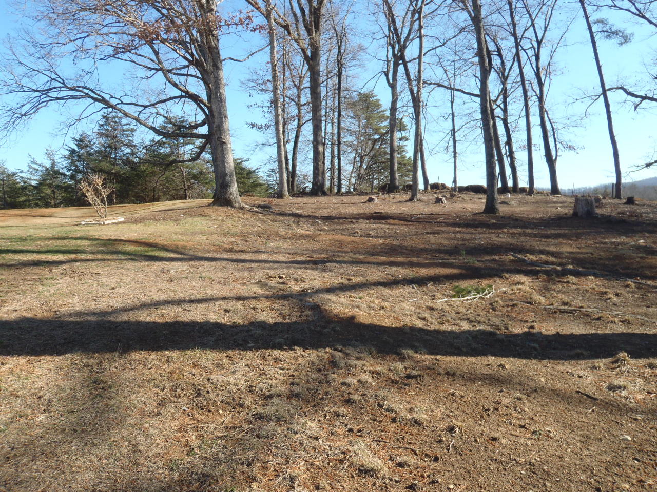 3480 Sterling Road Roanoke, VA 24014 - Photo 9 of 72 P2096345