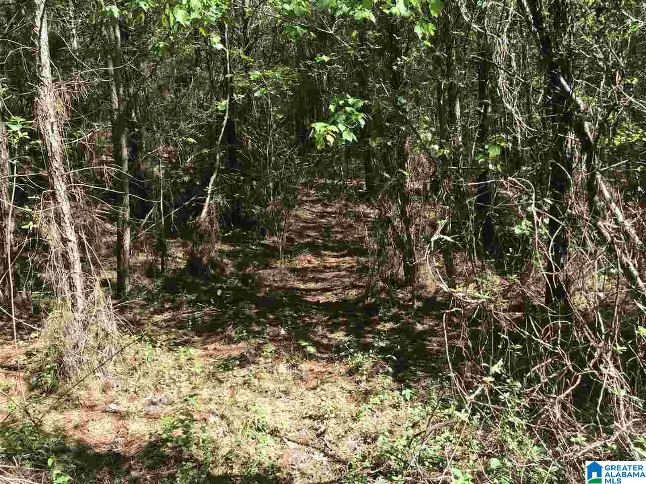 0 Acton Road, Unit 45 ACRE Moody, AL 35004 - Photo 11 of 12