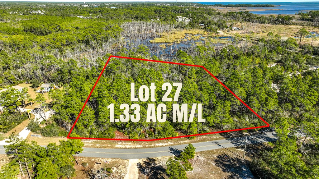151 Pinnacle Street Carrabelle, FL 32322 - Photo 3 of 11