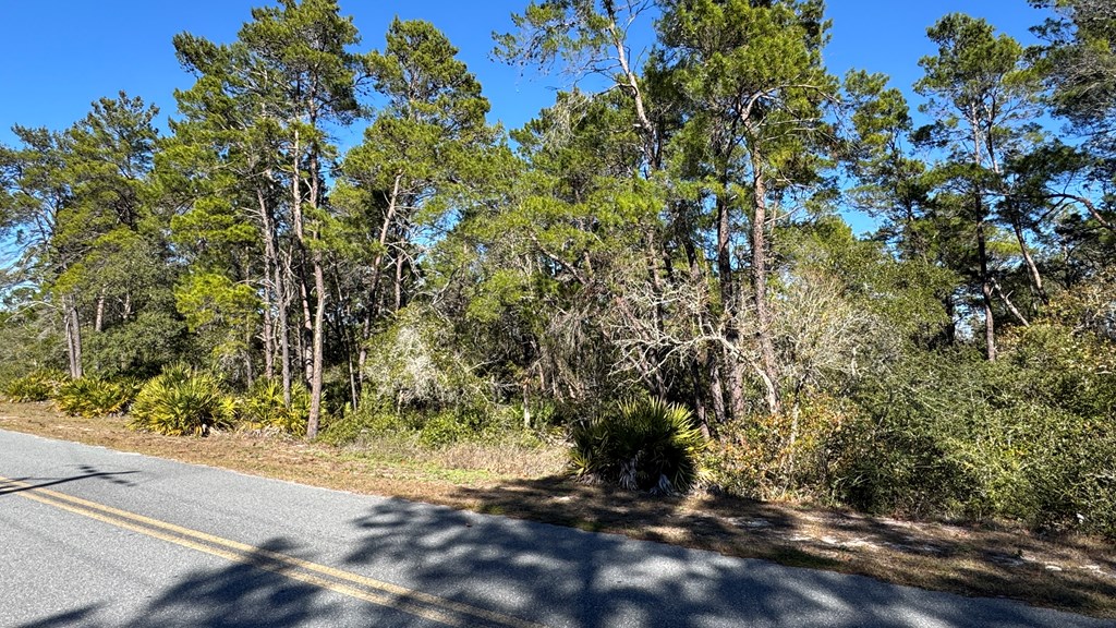 151 Pinnacle Street Carrabelle, FL 32322 - Photo 4 of 11