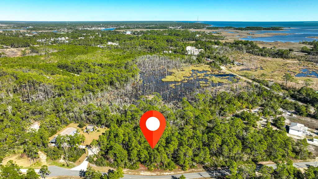 151 Pinnacle Street Carrabelle, FL 32322 - Photo 5 of 11