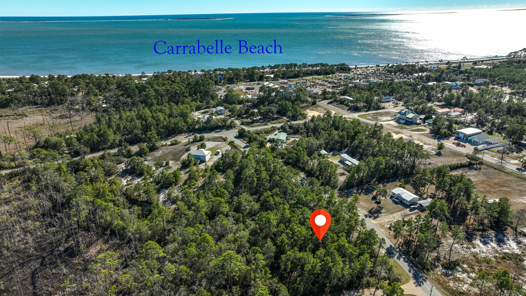 151 Pinnacle Street Carrabelle, FL 32322 - Photo 6 of 11