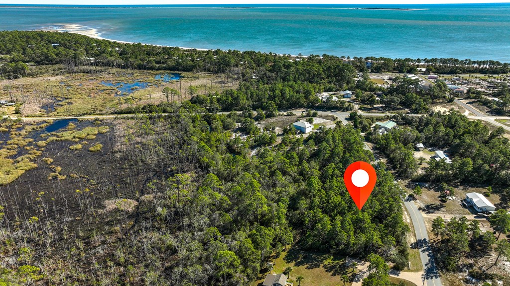 151 Pinnacle Street Carrabelle, FL 32322 - Photo 7 of 11