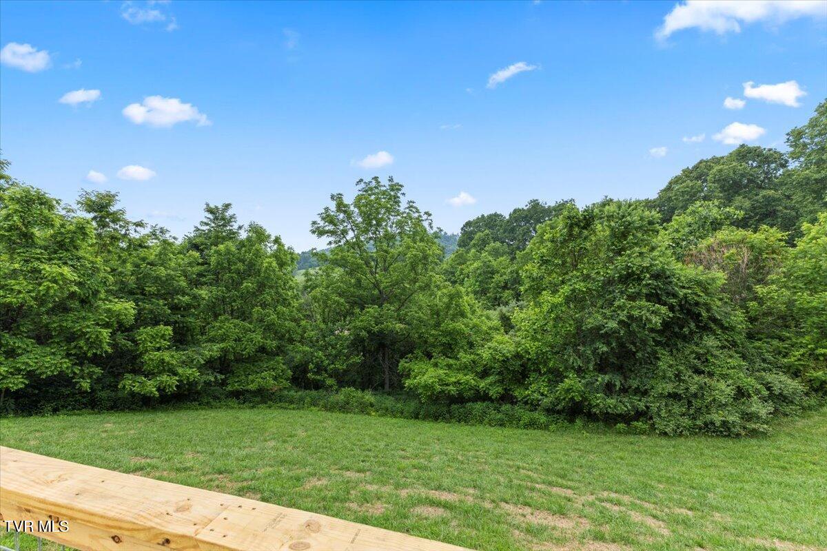 14450 Rattle Creek Road Abingdon, VA 24210 - Photo 12 of 34 27-128A1001