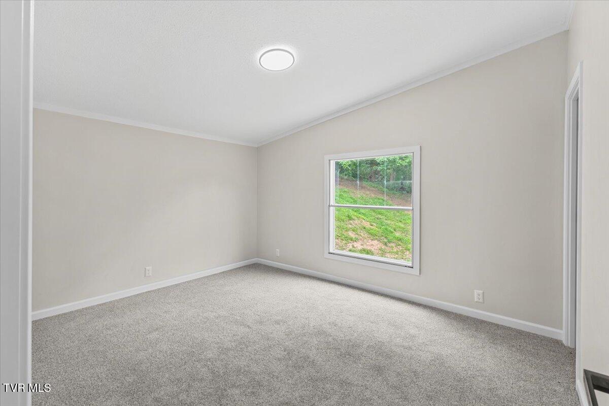 14450 Rattle Creek Road Abingdon, VA 24210 - Photo 29 of 34 21-128A0983