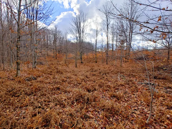 $80,000 | Vl Mancelona Road, Mancelona, MI 49659