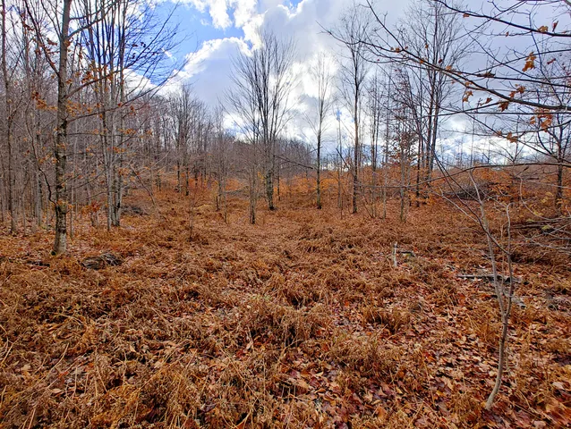 $90,000 | Vl Mancelona Road, Mancelona, MI 49659