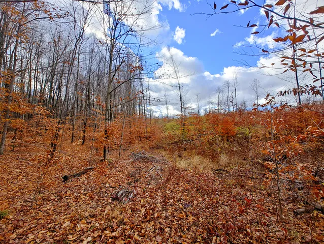 $90,000 | Vl Mancelona Road, Mancelona, MI 49659