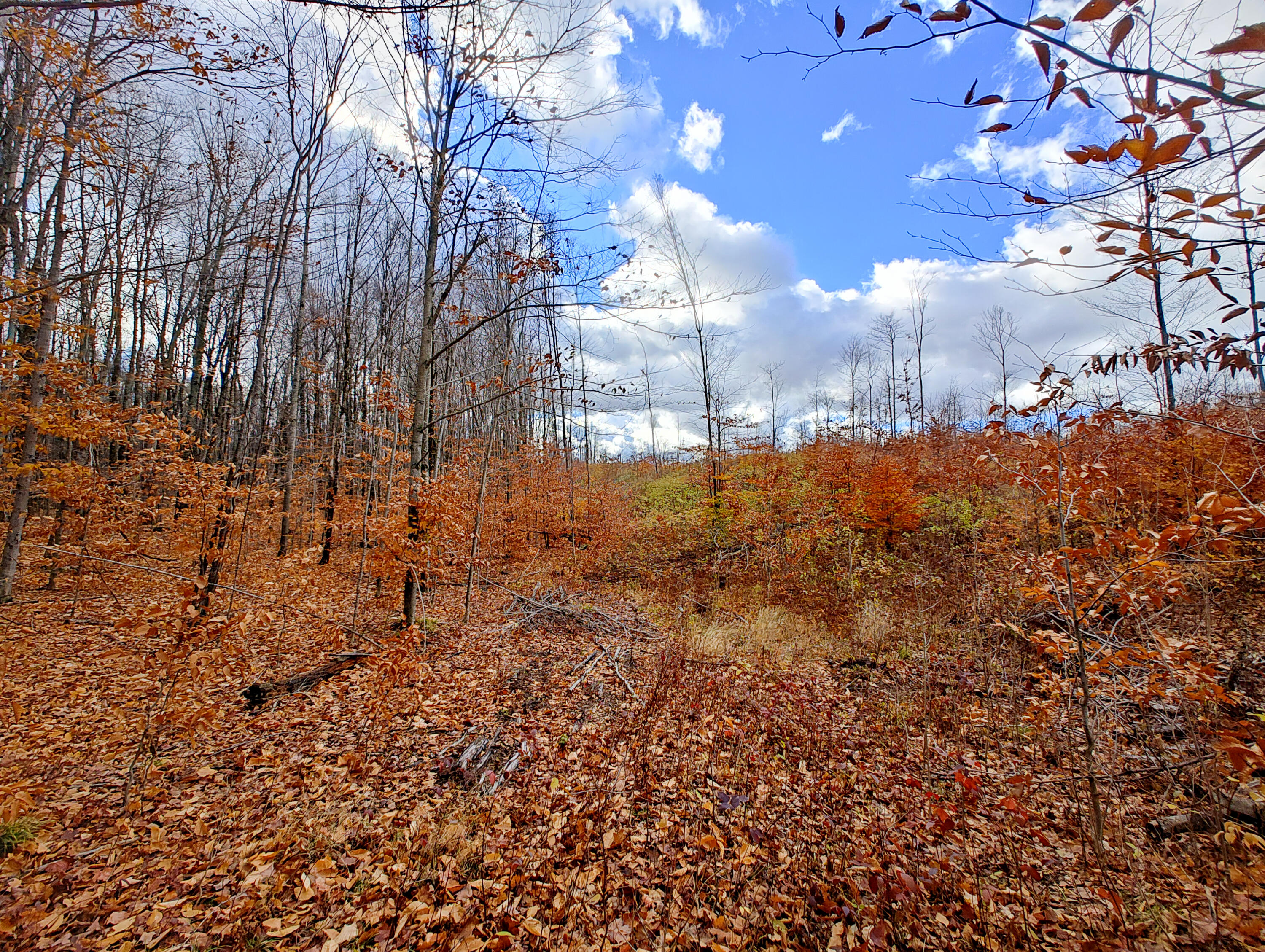Vl Mancelona Road Mancelona, MI 49659 - Photo 12 of 37 IMG_20251103_111623730_HDR