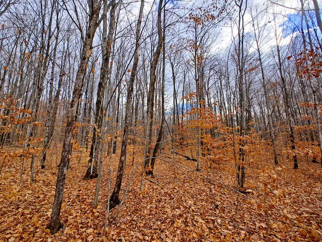 $90,000 | Vl Mancelona Road, Mancelona, MI 49659