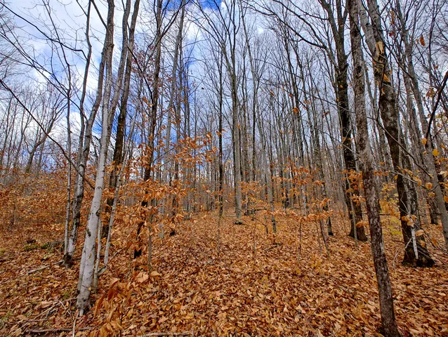 $90,000 | Vl Mancelona Road, Mancelona, MI 49659