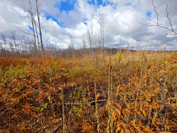 $80,000 | Vl Mancelona Road, Mancelona, MI 49659