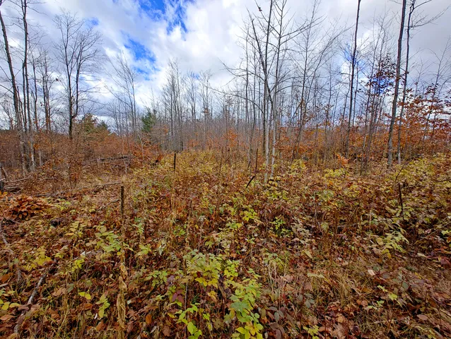 $90,000 | Vl Mancelona Road, Mancelona, MI 49659