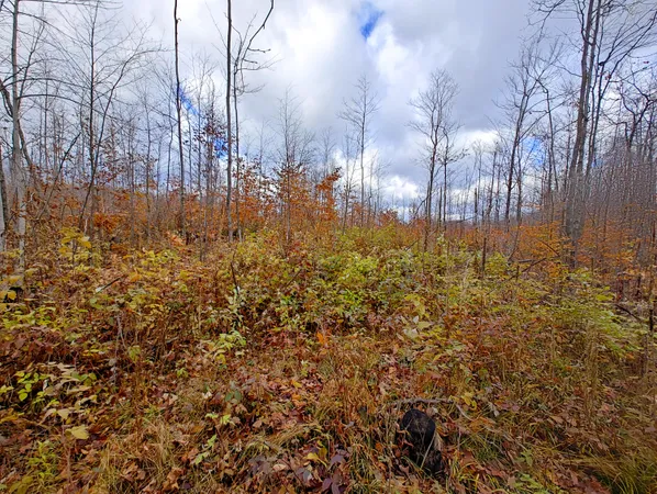 $80,000 | Vl Mancelona Road, Mancelona, MI 49659