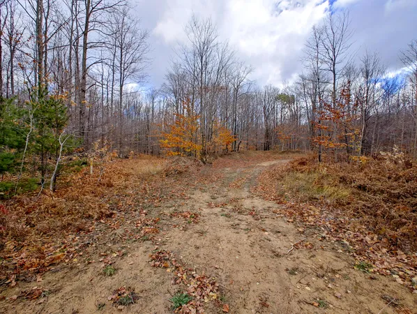 $80,000 | Vl Mancelona Road, Mancelona, MI 49659