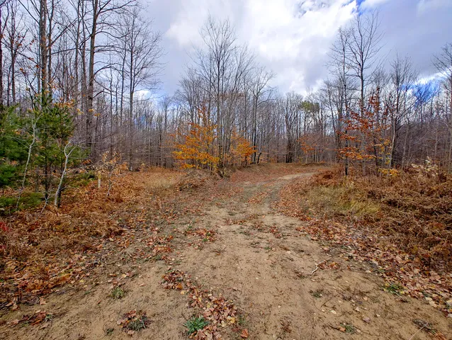 $90,000 | Vl Mancelona Road, Mancelona, MI 49659