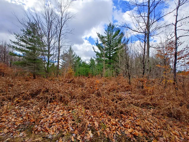 $90,000 | Vl Mancelona Road, Mancelona, MI 49659