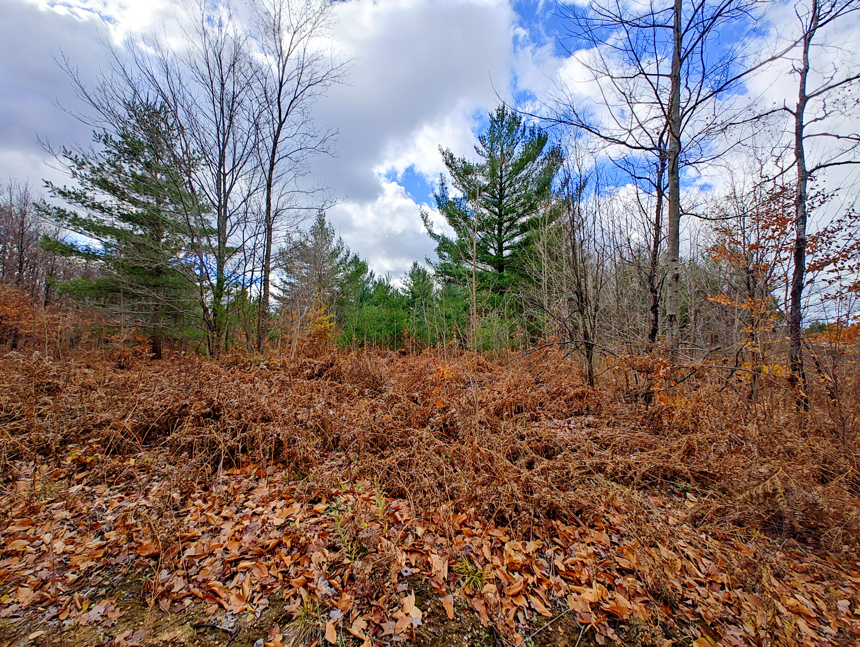 Vl Mancelona Road Mancelona, MI 49659 - Photo 20 of 37 IMG_20251103_112327432_HDR
