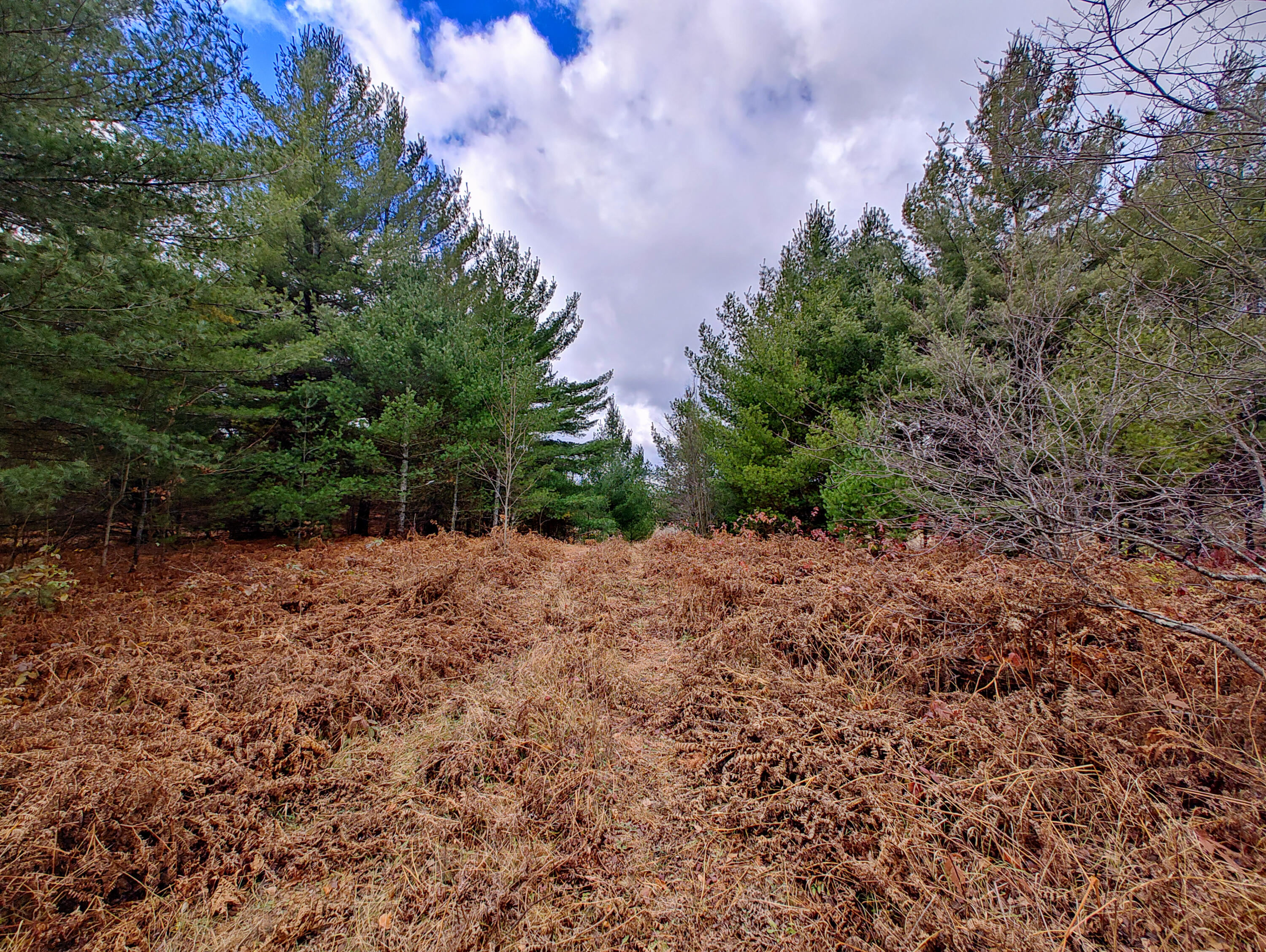 Vl Mancelona Road Mancelona, MI 49659 - Photo 23 of 37 IMG_20251103_112450729_HDR