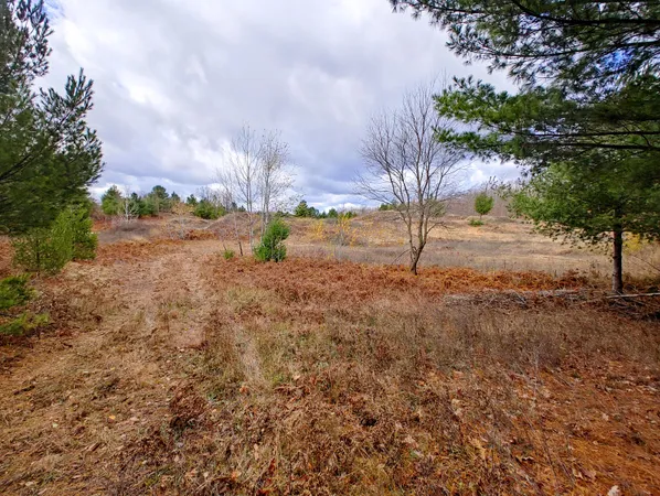 $80,000 | Vl Mancelona Road, Mancelona, MI 49659
