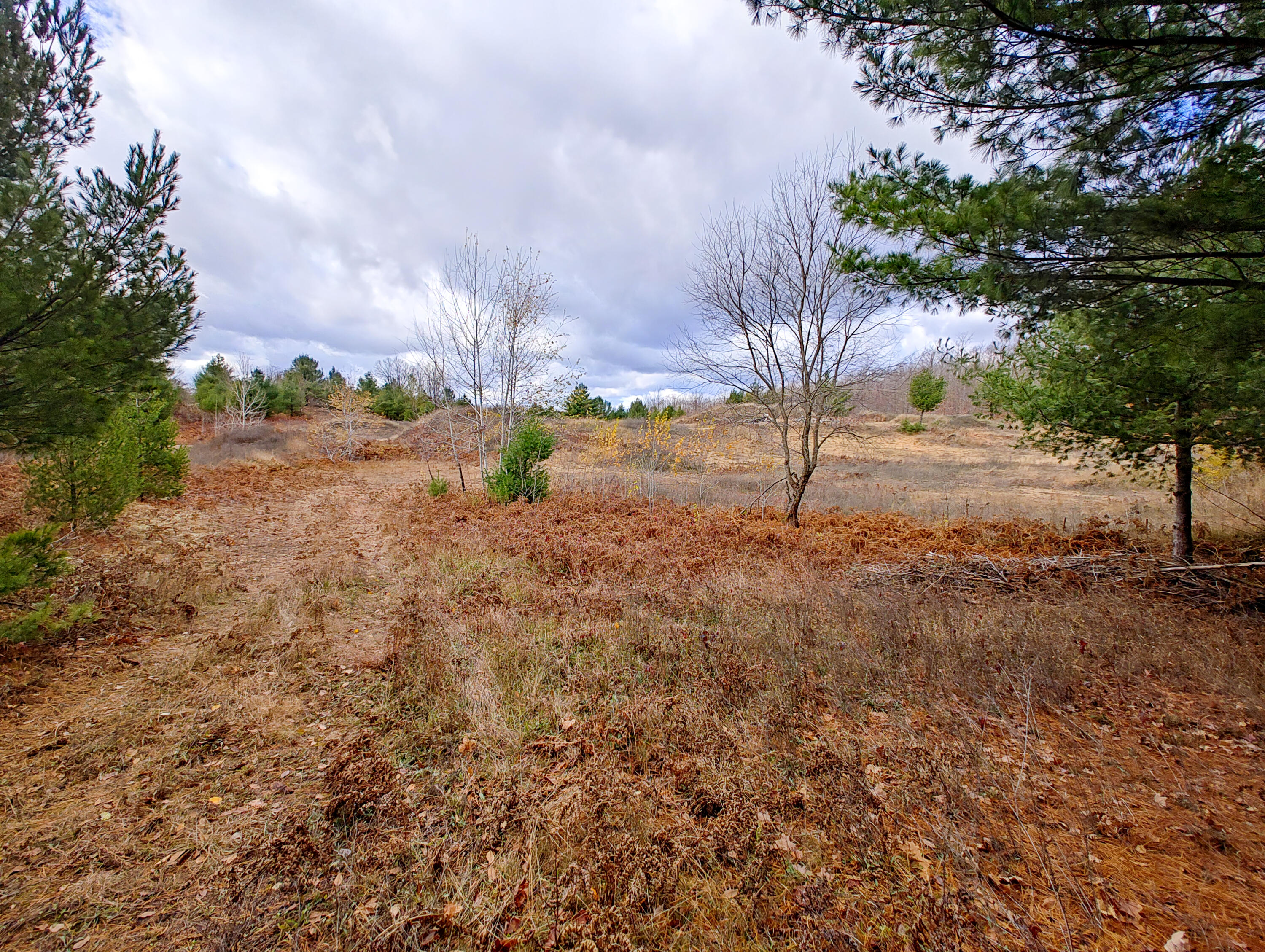 Vl Mancelona Road Mancelona, MI 49659 - Photo 24 of 37 IMG_20251103_112520876_HDR