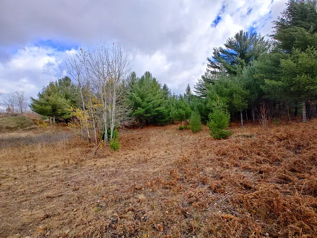 $90,000 | Vl Mancelona Road, Mancelona, MI 49659