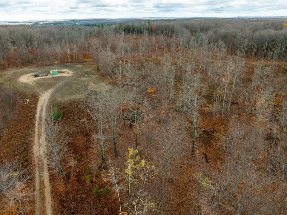 Vl Mancelona Road Mancelona, MI 49659 - Photo 27 of 37 DJI_0832_resized