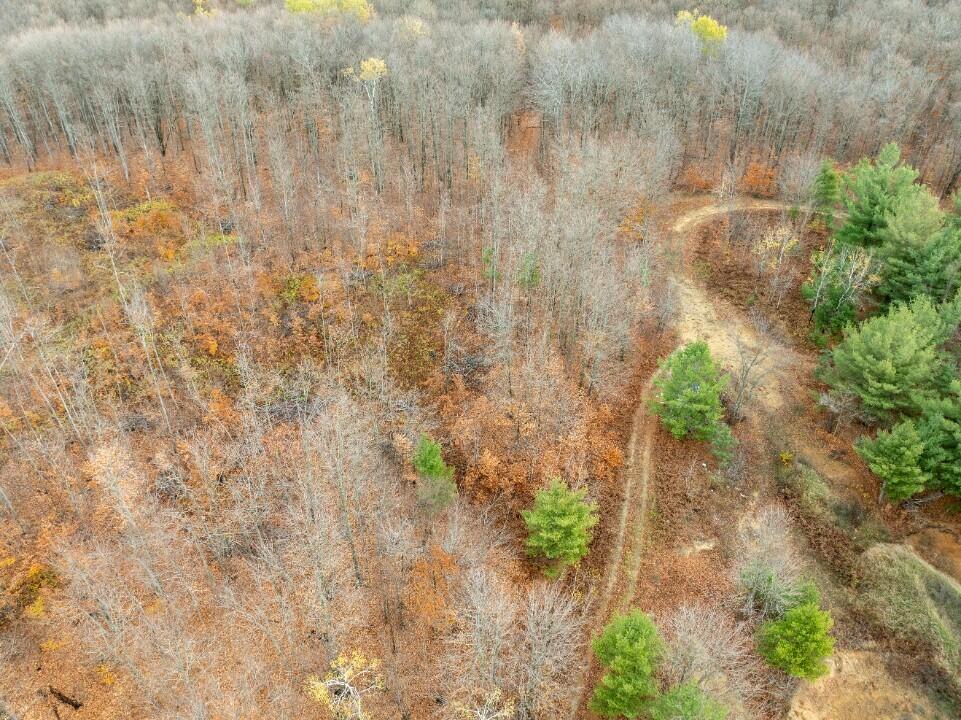 Vl Mancelona Road Mancelona, MI 49659 - Photo 29 of 37 DJI_0834_resized