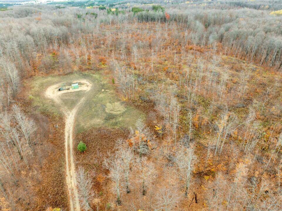 Vl Mancelona Road Mancelona, MI 49659 - Photo 30 of 37 DJI_0835_resized