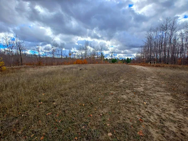 $80,000 | Vl Mancelona Road, Mancelona, MI 49659