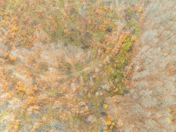 $80,000 | Vl Mancelona Road, Mancelona, MI 49659