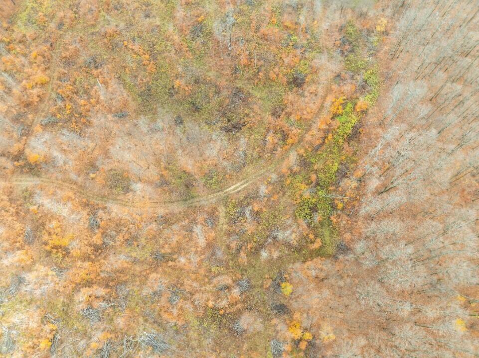 Vl Mancelona Road Mancelona, MI 49659 - Photo 32 of 37 DJI_0837_resized