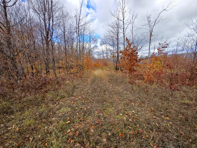 $90,000 | Vl Mancelona Road, Mancelona, MI 49659