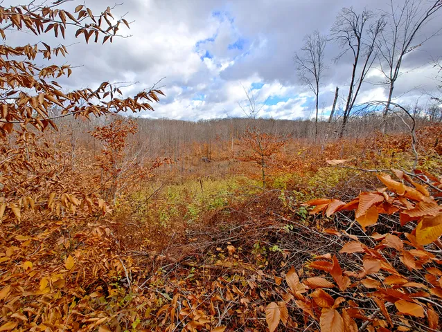 $90,000 | Vl Mancelona Road, Mancelona, MI 49659