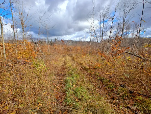 $80,000 | Vl Mancelona Road, Mancelona, MI 49659