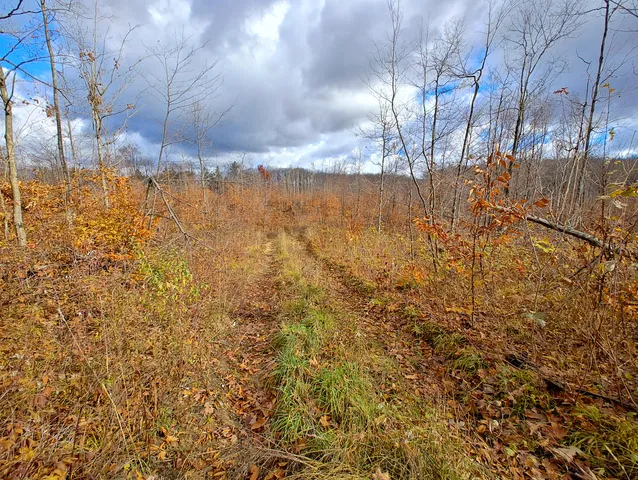 $90,000 | Vl Mancelona Road, Mancelona, MI 49659