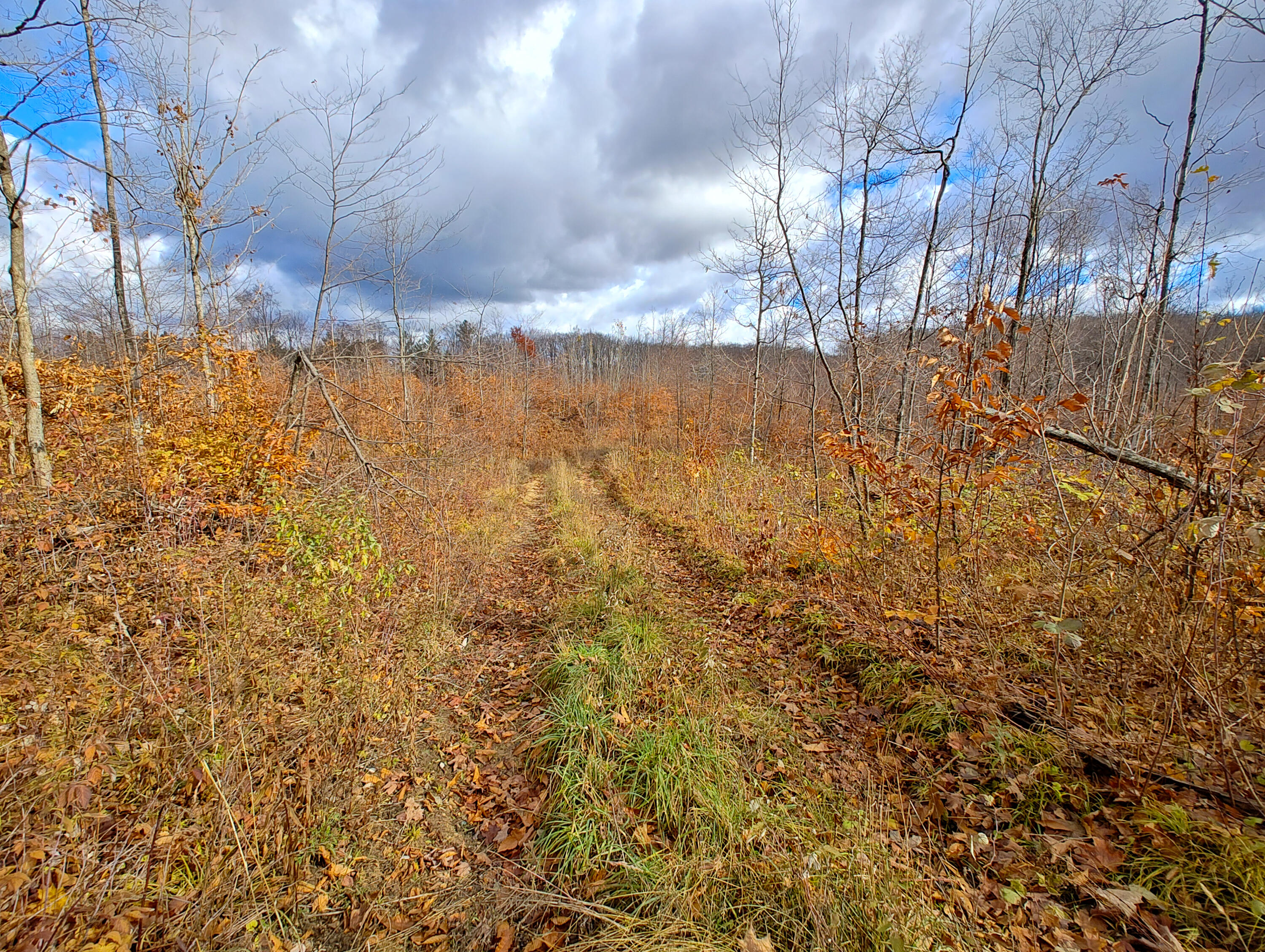 Vl Mancelona Road Mancelona, MI 49659 - Photo 7 of 37 IMG_20251103_111225356_HDR