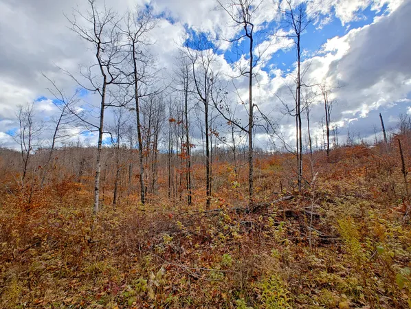 $80,000 | Vl Mancelona Road, Mancelona, MI 49659