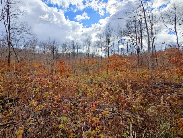 $90,000 | Vl Mancelona Road, Mancelona, MI 49659