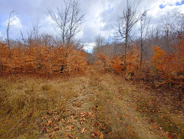 $90,000 | Vl Mancelona Road, Mancelona, MI 49659