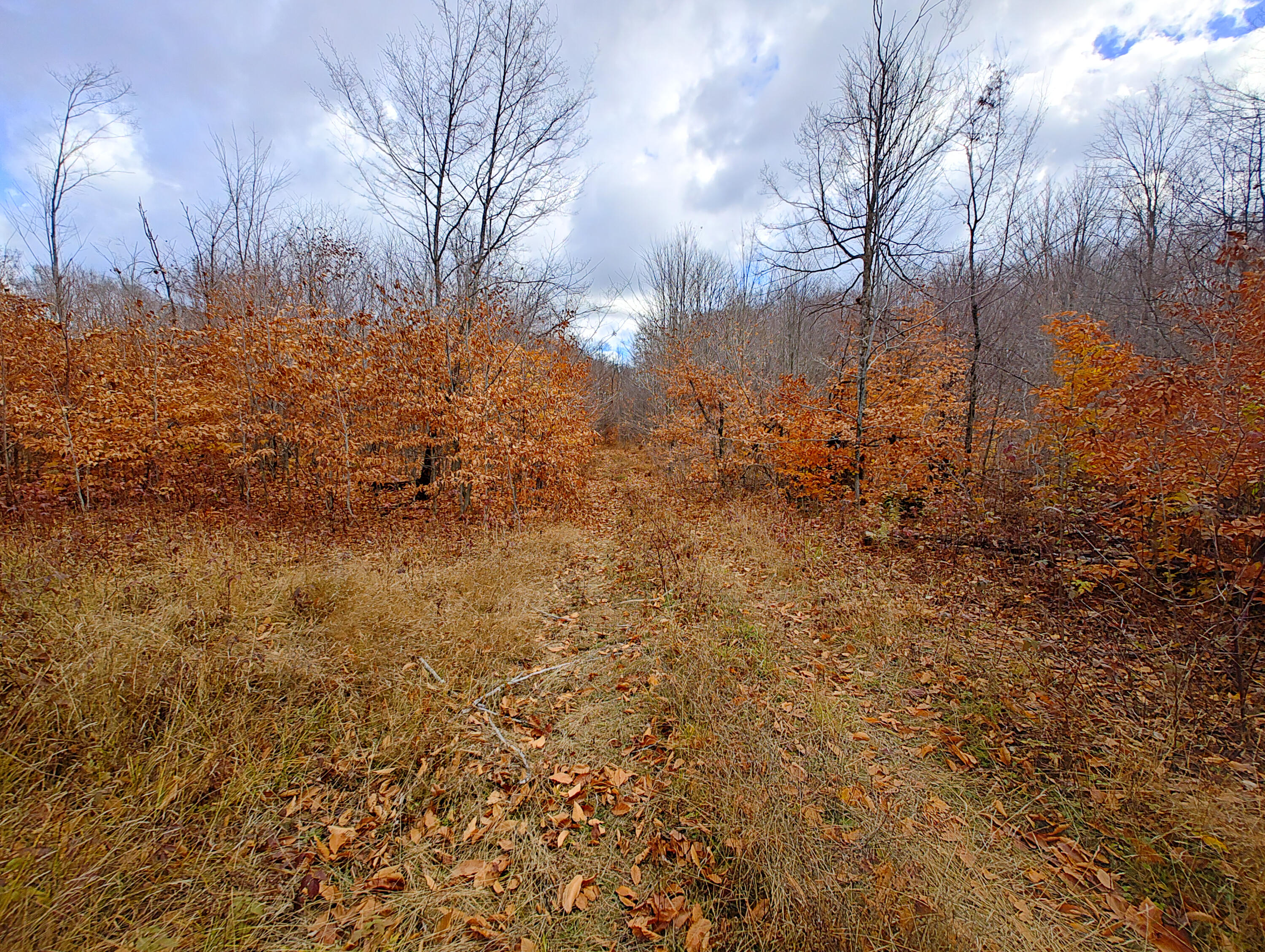 Vl Mancelona Road Mancelona, MI 49659 - Photo 10 of 37 IMG_20251103_111402982_HDR