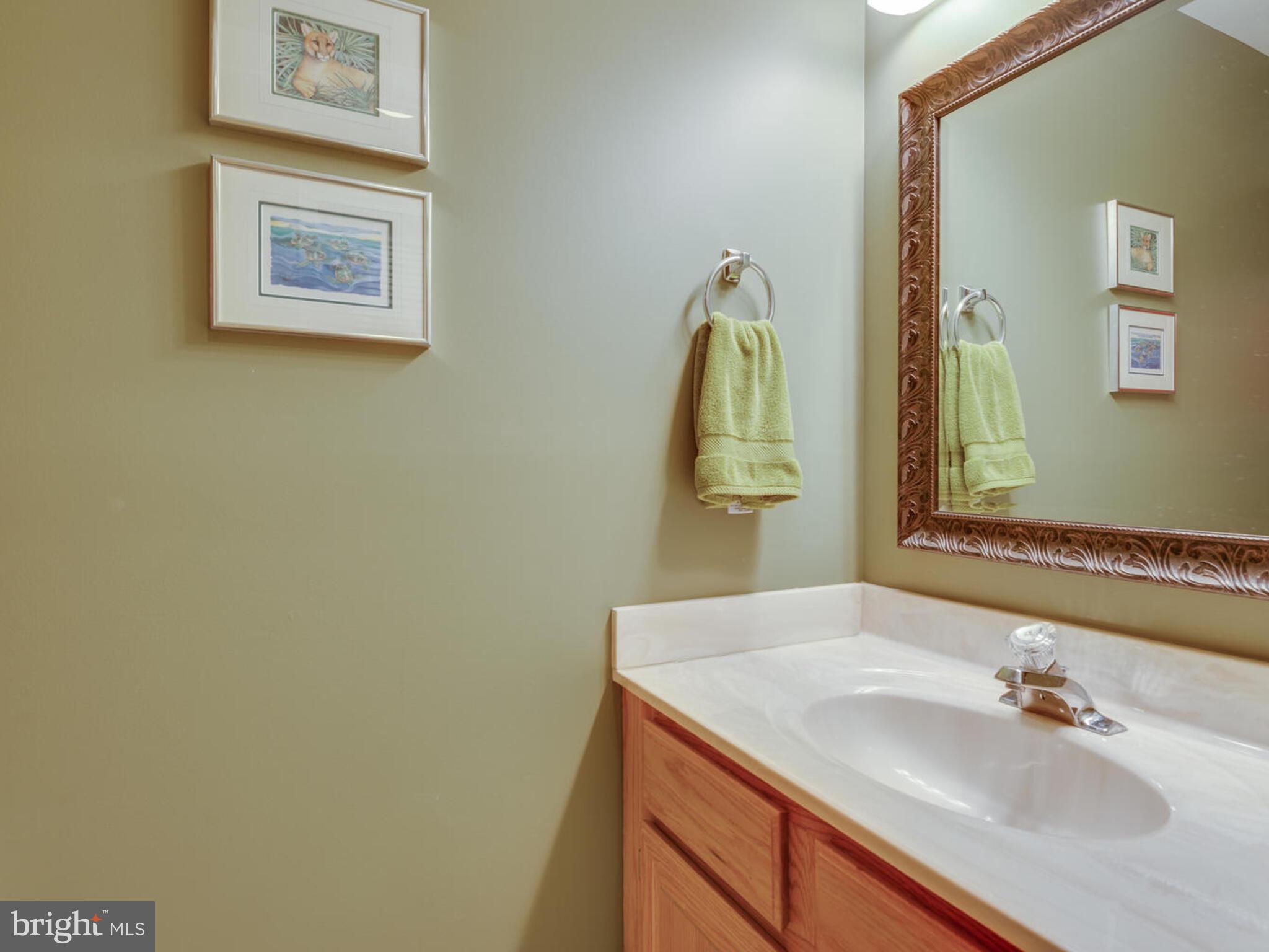 11300 Fairwind Way Reston, VA 20190 - Photo 46 of 53
