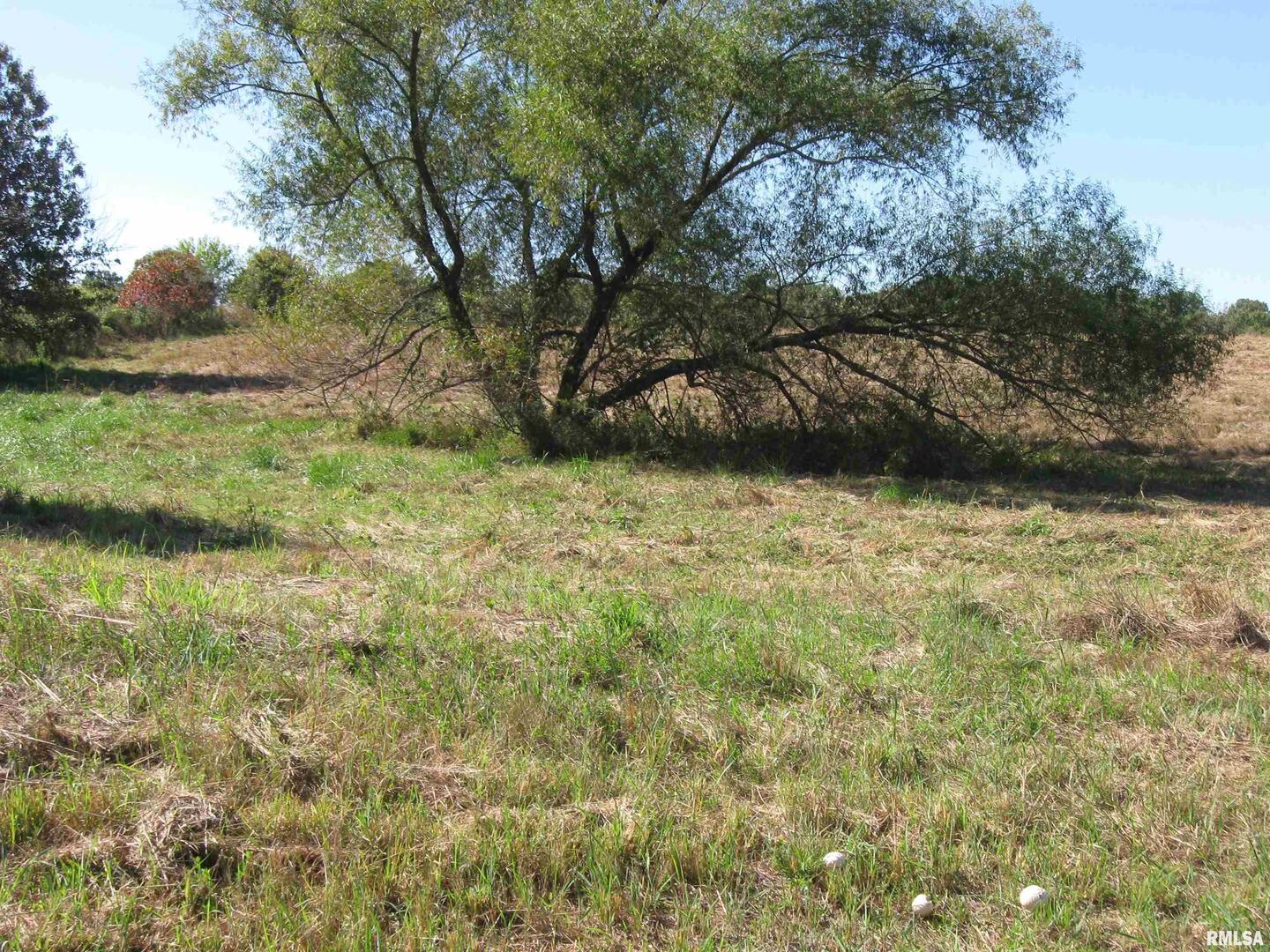 6000 Walnut Ridge Road Belknap, IL 62908 - Photo 2 of 10 a backyard of a house with lots of green space