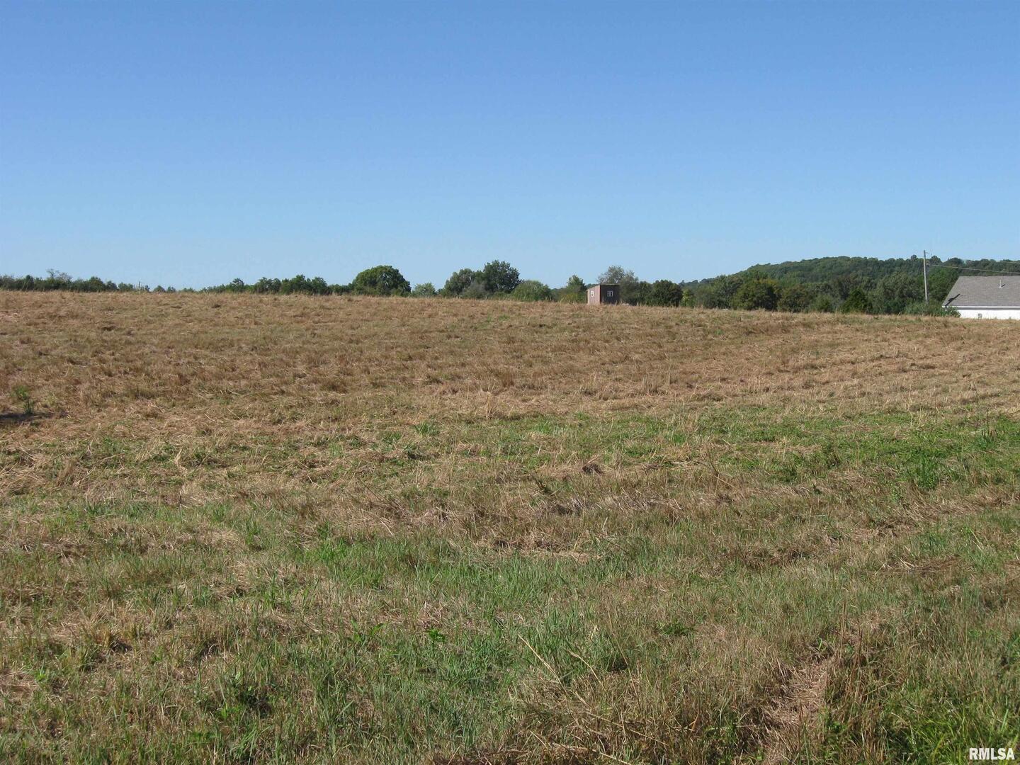 6000 Walnut Ridge Road Belknap, IL 62908 - Photo 3 of 10 a view of lake and mountain